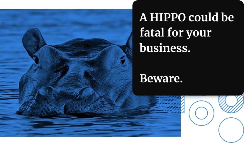 a HIPPO (Highest Paid Person's Opinion) could be fatal for your business. Make sure you're making data-driven decisions, and not those based on assumption.